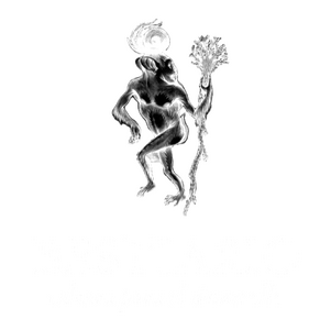 Bestiario, Cultura para el Desarrollo
