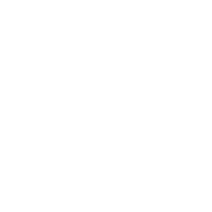 Chicatana